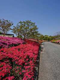 Commemorative Park