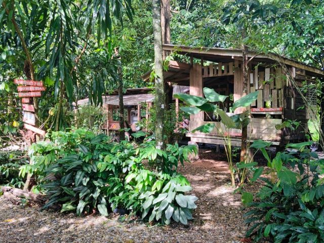 Tea House in Rainforest คาเฟ่พรหมคีรี นครศรี