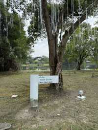Discover Serenity in the City at Taman Tasik Cyberjaya
