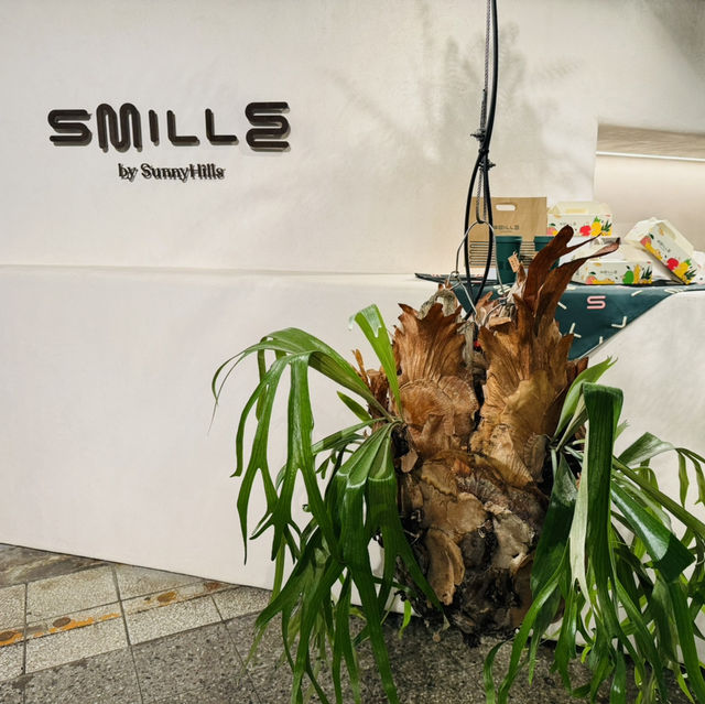 From Drink to Decor – SunnyHills Style
