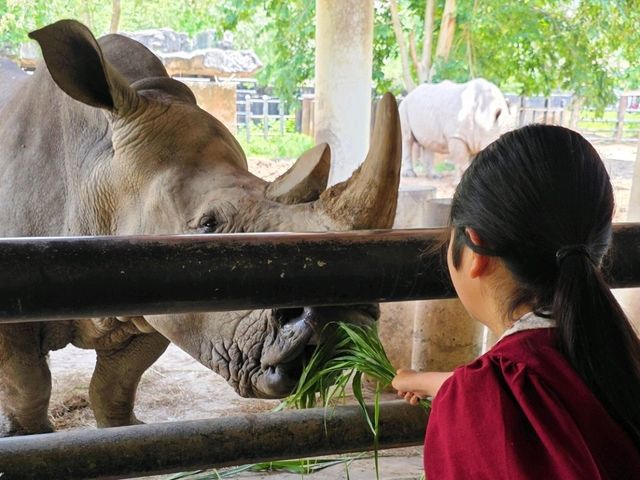 🌳 พาเที่ยวแบบเข้าป่า ที่สวนสัตว์เปิดเขาเขียว 🦒