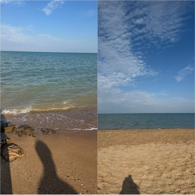 후루가다에서 해변 승마하고 세리비치 리조트에서 완벽 힐링