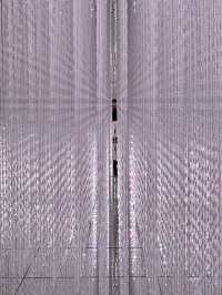 澳門teamlab 超自然空間20250516