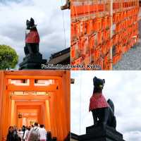 Fushimi Inari-taisha ,Kyoto