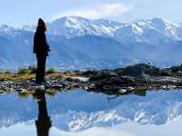 一頓龍蝦早餐開啟南島的藍｜Kaikoura 海岸半日小旅行