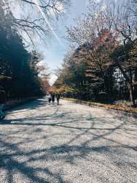 BEAUTIFUL PARK.