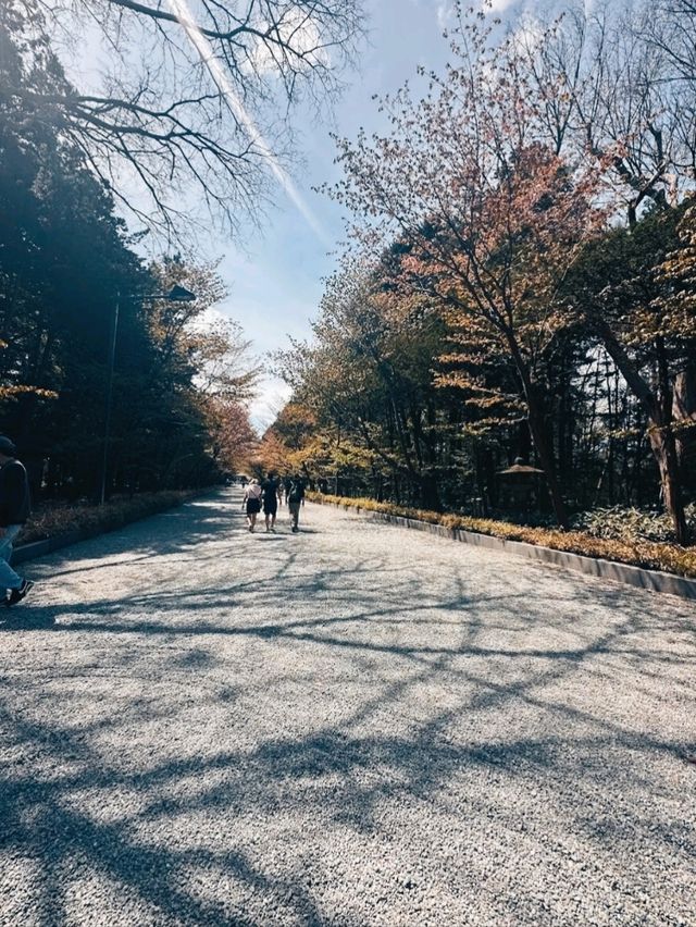 BEAUTIFUL PARK.