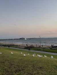 Point Ormond – A Seaside Escape in Melbourne 🌅