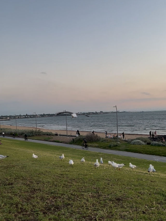 Point Ormond – A Seaside Escape in Melbourne 🌅