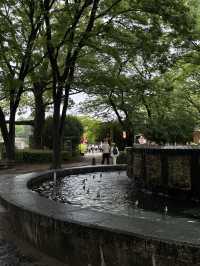 Nagoya Castle Park✨✨