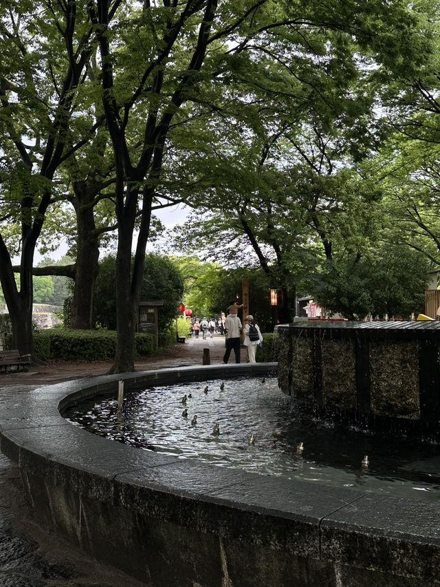 Nagoya Castle Park✨✨