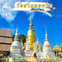 🪷ไหว้พระ | วัดสวนดอก เชียงใหม่🪷