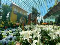 Gardens by the Bay – Singapore’s Futuristic Green Wonderland