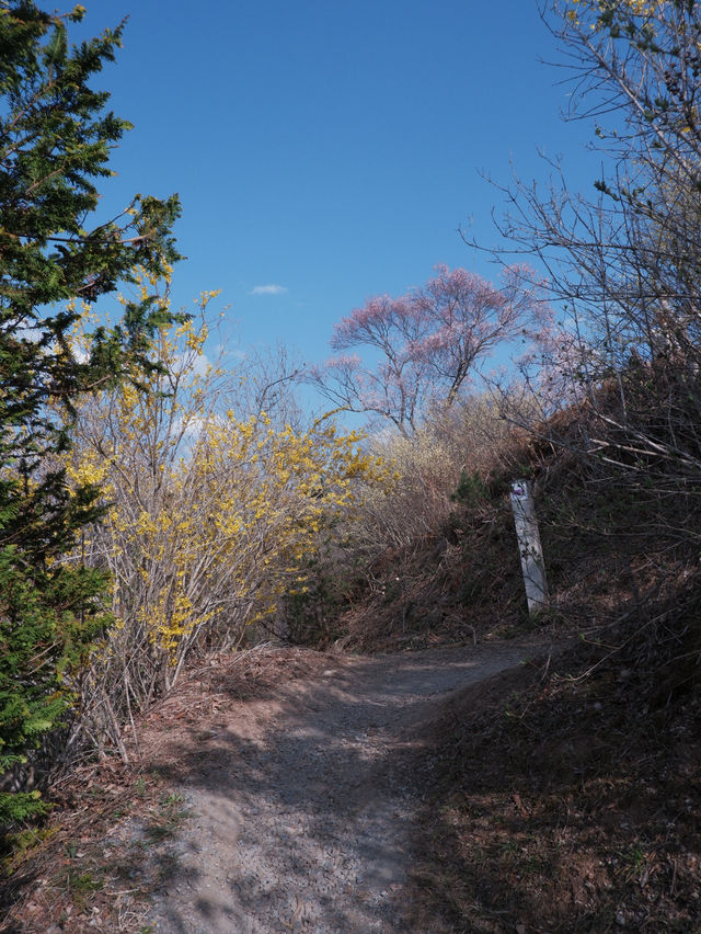 東海道新幹線：大阪去福島只需四小時