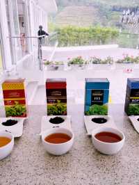 【紅茶好き必見☕️】  スリランカ・ヌワラエリヤで楽しむ、極上のティータイム巡り🍂☕️