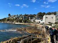 Manly to Shelly Beach – A Coastal Walk Worth Slowing Down For