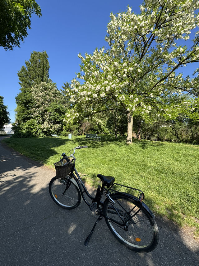 An unforgettable solo trip in Colmar 