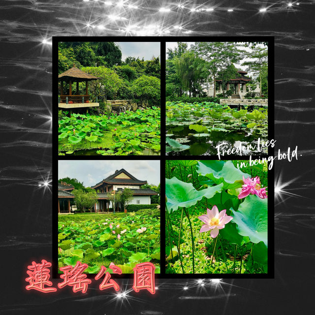 ~端午映荷香~蓮瑤公園~