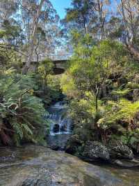 Prince Henry Cliff Walk at Blue Mountain, Sydney