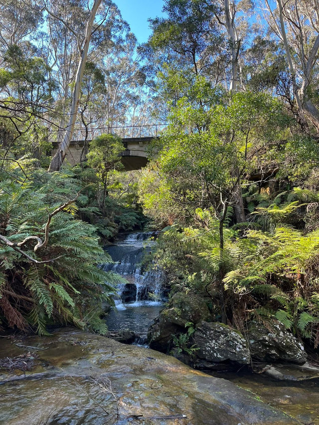 Prince Henry Cliff Walk at Blue Mountain, Sydney