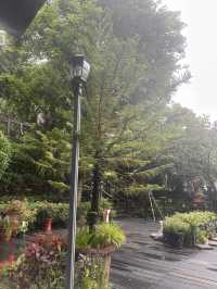 在時光與山嵐之間迎端午——少帥禪園靜旅記