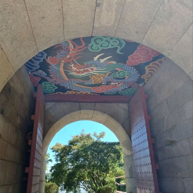 History and Nature All in One