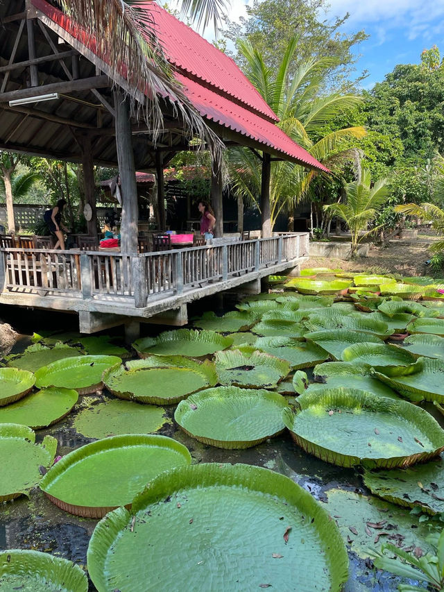 観光以上の体験がここにある。五感で感じるチェンマイの旅🌿☀️🛕