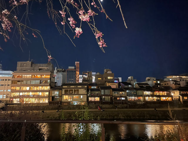 🌸 벚꽃이 밤을 물들인 오사카의 봄 여행
