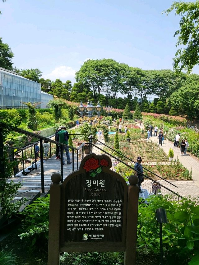 장미와 다양한 볼거리가 넘쳐나는 세종여행지