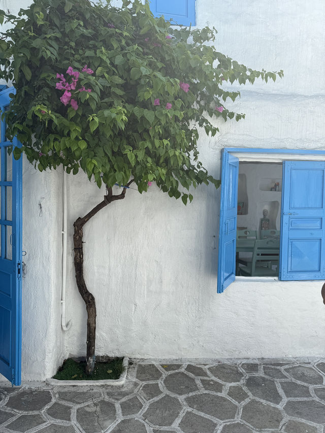 Son Tra Marina​ Café