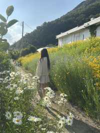 🌼자연 속에서 피어나는 일상, 일상화카페 🪽