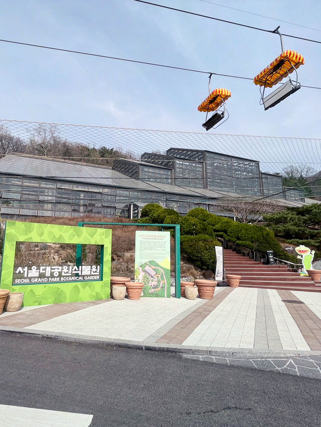 『ソウル動物園🐅』IN Korean🇰🇷