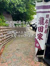 常滑市のとこにゃんに会いに行こう！