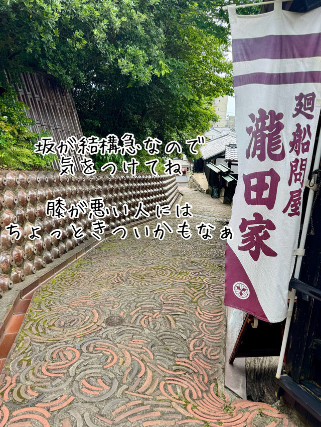 常滑市のとこにゃんに会いに行こう！