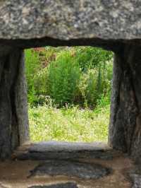 Hidden History & Chill Walks at Deokjinjin Fort