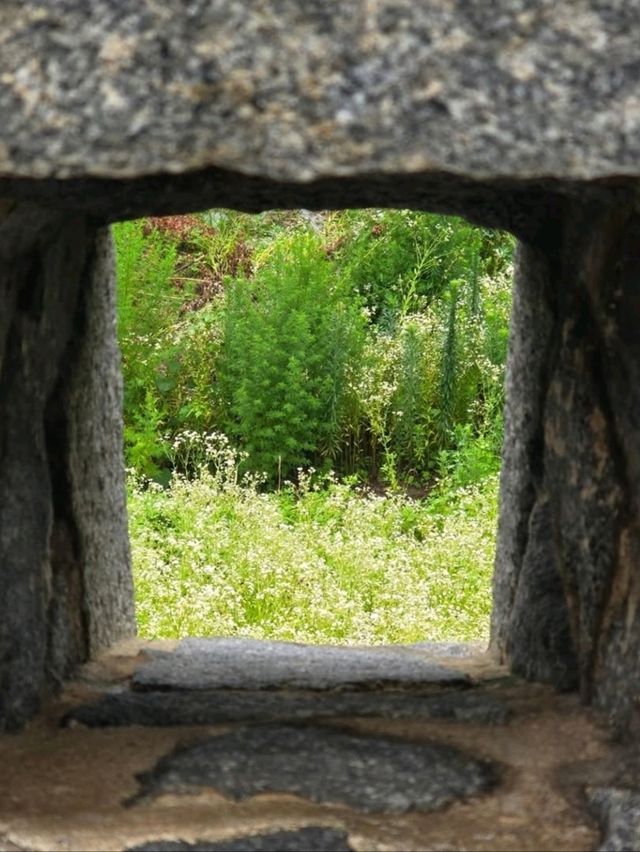 Hidden History & Chill Walks at Deokjinjin Fort