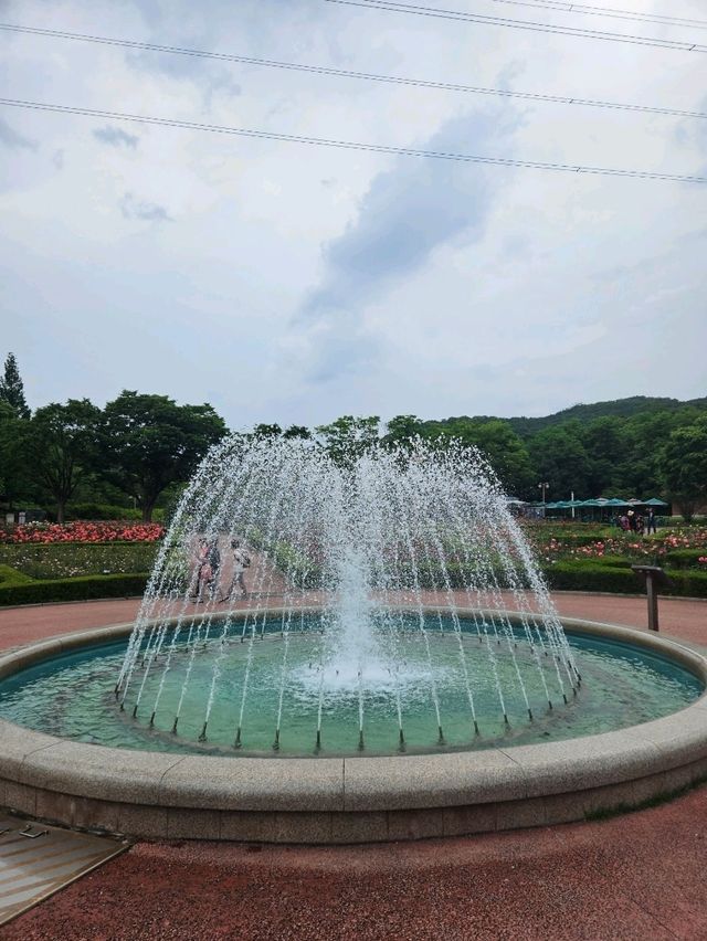 인천대공원 완벽 가이드 🚲🐾
