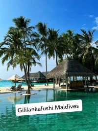 🌴 Gili Lankanfushi Maldives – Barefoot Bliss in Paradise