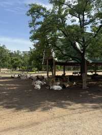 北碧府野生動物園