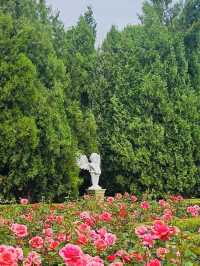 A Blooming Surprise in Incheon: A Review of Sunrise (Haedoji) Park 
