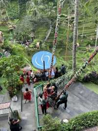 🌿A 2D1N Quick & Dreamy Escape into Bali’s Jungle Heart - Ubud