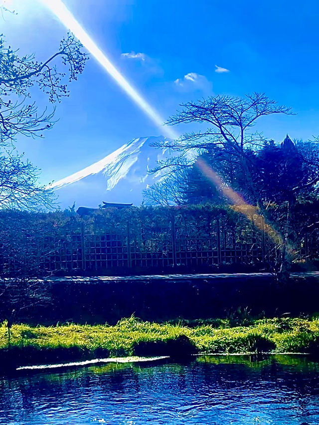 โอซาก้า🇯🇵