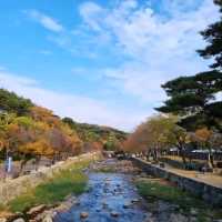 A Day at Tongdosa