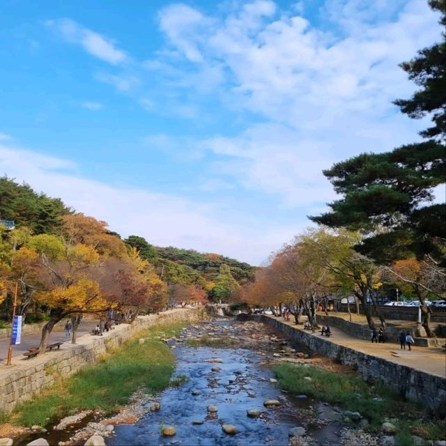A Day at Tongdosa