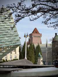 Vibrant township of Poznan