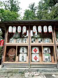 仙台　国宝・大崎八幡宮へ行くべき五つの理由🇯🇵✈️🌎 