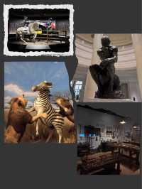 🎨 台南必去奇美博物館｜綜合性博物館的藝術殿堂🏛️