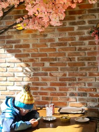 Taebaek's Adorable and Cozy Brunch Café Blossom🩷
