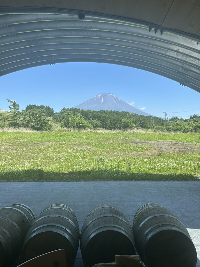 富士山の麓のワイナリー