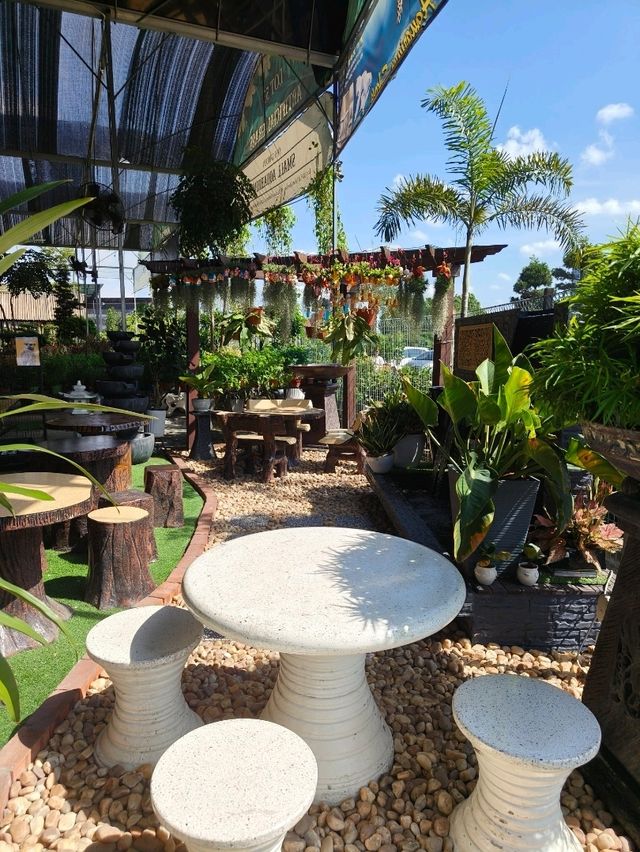 Desaru’s Budget Café Surprise: Sip & Stroll Through Nature